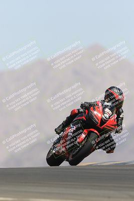 media/May-13-2023-SoCal Trackdays (Sat) [[8a473a8fd1]]/Turn 9 (11am)/
